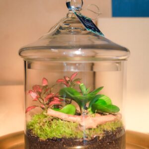 Magical Forest -  02