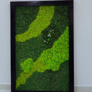 Moss Frames
